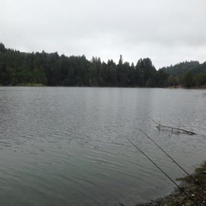 Meet your Posher, Shawn